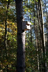 Killikus&reg; Fotographie